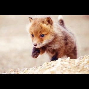 Meet your Posher, Robert